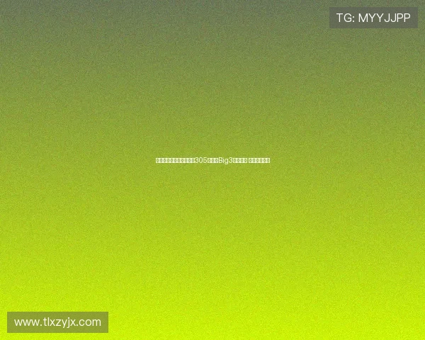 查尔莫斯绝杀助力迈阿密305队夺得Big3联赛冠军 荣获百万奖金